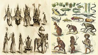 Hinduism - 10 Avatars of Vishnu and Darwin&#39;s Theory of Evolution - Parallels