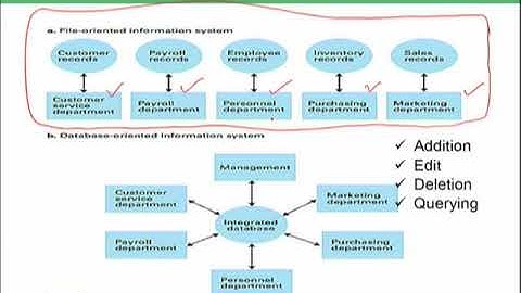 The Significance of Database Systems | Introduction to Computing | CS101_Topic150