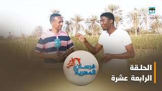 فرسان المهرية.. منطقة العبري حضارة وتاريخ | الحلقة الرابعة عشرة