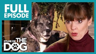 Dog's Loud Barking Sends Owners To Court | Full Episode USA | It's Me or The Dog