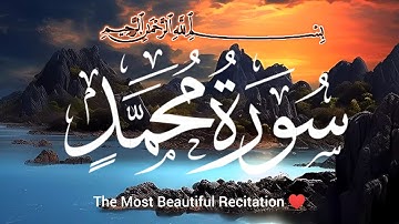 Surah Muhammad (سورة محمد) is the 47th chapter of the Quran.@Al-Quran1240 #surahmuhammad #quran