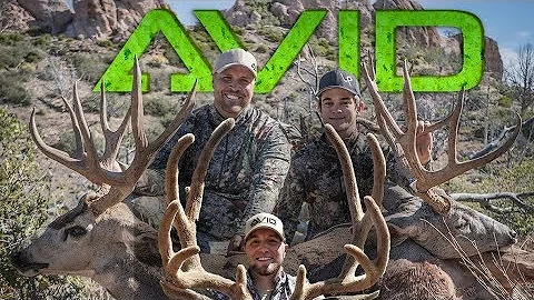 2017 General Season Bowhunt, Southern Utah Public Land MULE DEER