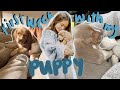 FIRST WEEK WITH MY PUPPY!! | Realities of Getting a Puppy