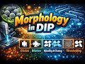 Morphology in DIP | Erosion, Dilation & Applications