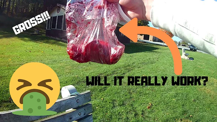 CATFISHING W/WEIRD KOOL-AID BAIT CHALLENGE || SURP...