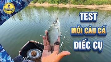 Test Mồi Câu Cá Diếc Cụ ở Trạm Bơm Nhất Trai