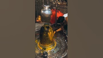 shiv aarti status|shiv mantra|shiv shankar|rudrabhishek|shiv shakti|shiva status| #shiv #shorts