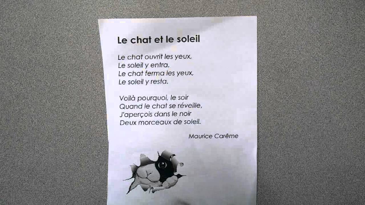 Le Chat et le Soleil - YouTube