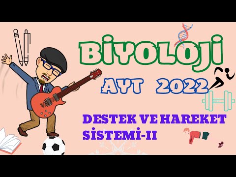 DESTEK VE HAREKET SİSTEMİ 2(kıkırdak doku-eklemler) Biyoloji Konu Anlatımı