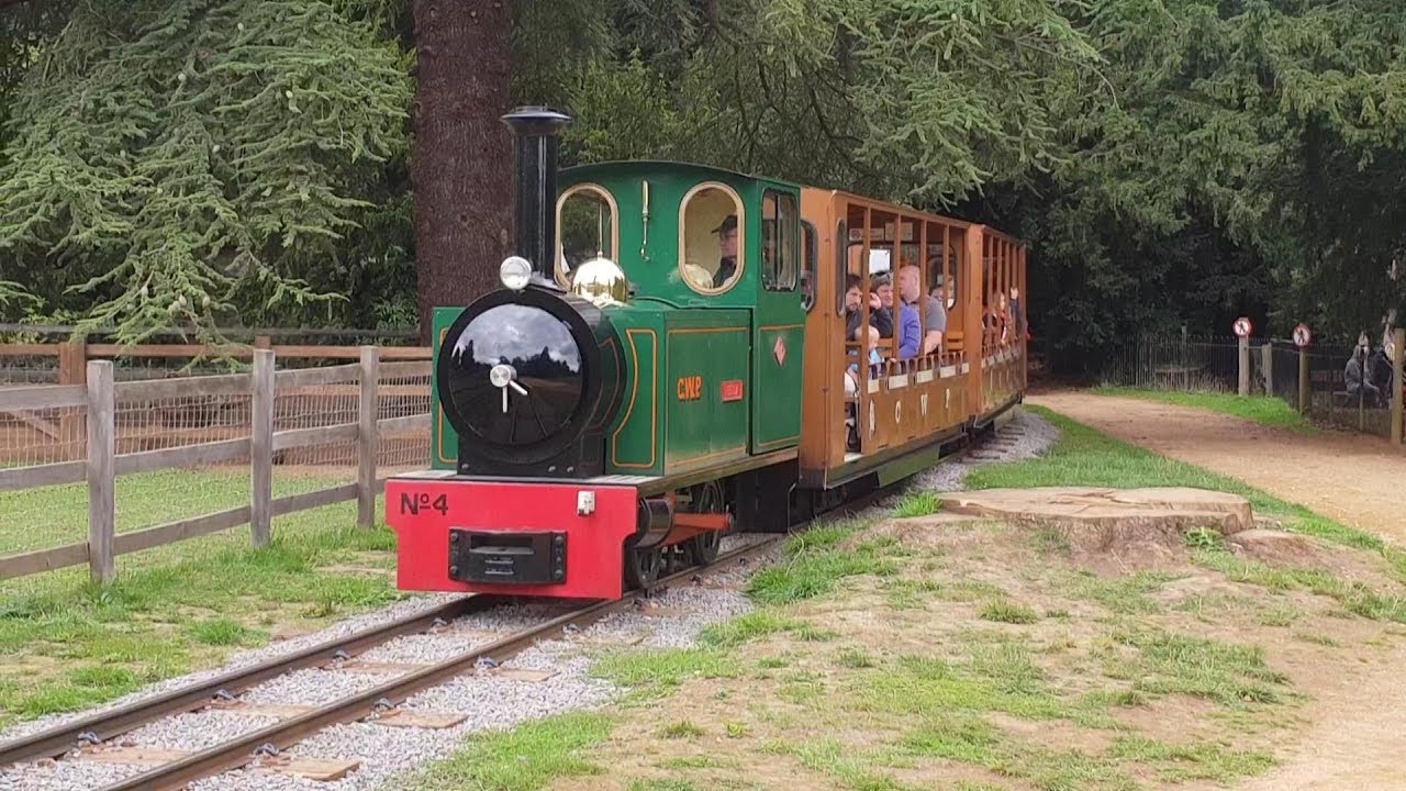 Cotswold Wildlife Park Train Ride Can you spot the Tiger!!! YouTube