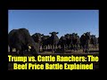 Trump vs. Cattle Ranchers: The Beef Price Battle Explained
