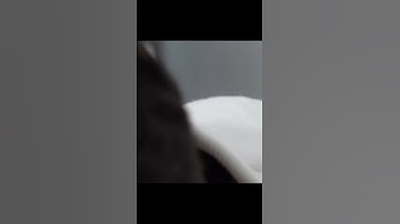 Cross Collar Choke w/ Arm Drag | Darin Shapiro