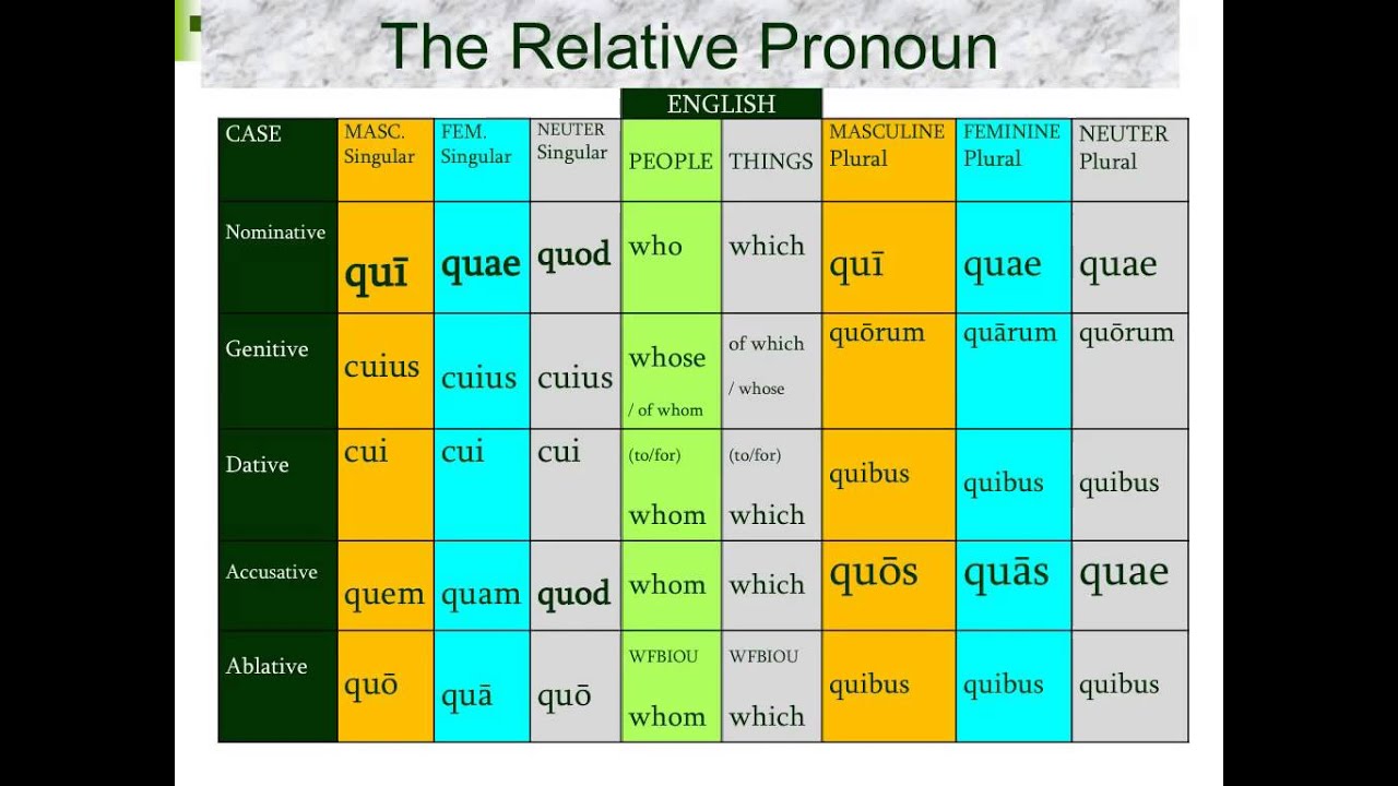 Relative Pronouns Latin Worksheet