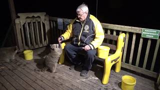 Friday Raccoon Diner Open for business