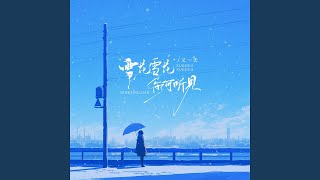雪花雪花你可听见 (Dj阿尼)