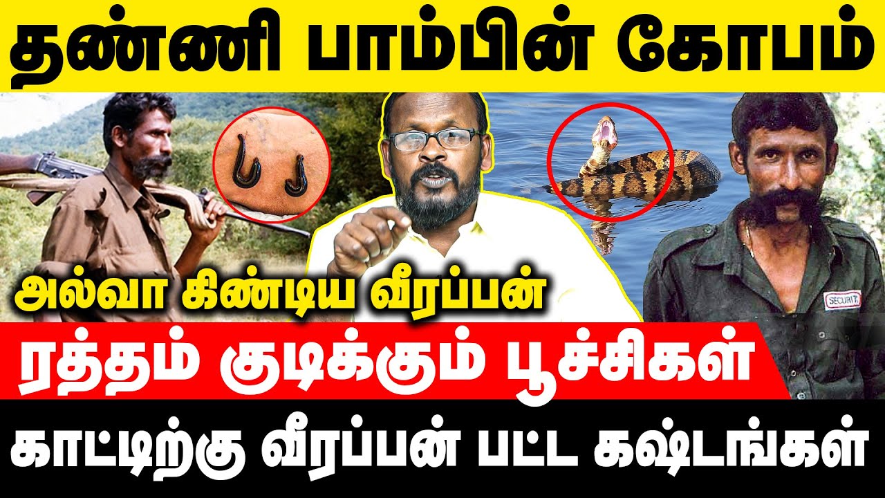 கொடிய விலங்குகளிடம் இருந்து வீரப்பன் தப்பித்து வந்த நிகழ்வுகள்| Mugil | Voice of Law