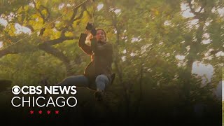 Go Ape! Zipline and Adventure Park