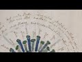 Voynich Review