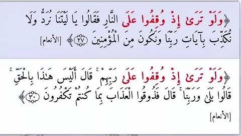 "ولو ترى إذ وقفوا على النار" | القارئ : حاتم المالكي ( قراءة خاشعة ) جزء من سورة الانعام