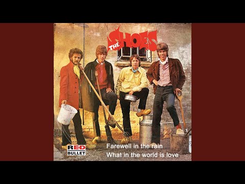 The Shoes — What In The World Is Love