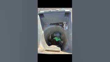 So Clean, Youll Think Its a Brand New Trash Can (Every Time!)