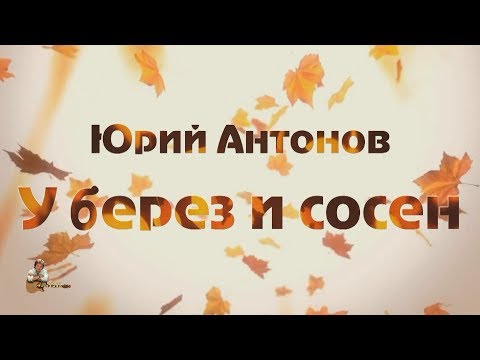 Юрий Антонов - У берез и сосен. FullHD