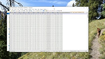 Column Editing with Notepad++