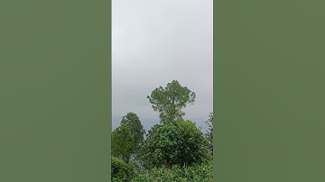 Thumbnail of #nature #naturelovers #beauty #love #youtubeshorts #youtube #song #hindisong #himachal