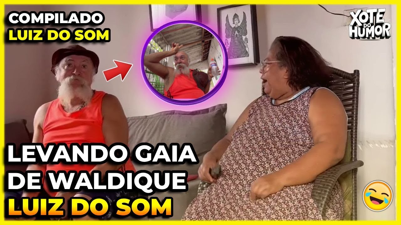 COMPILADO LUIZ DO SOM E WALDIQUE DO FERRO VELHO | FINAL | XOTE DO HUMOR