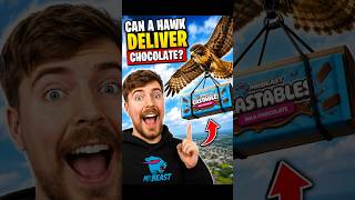 🦅 Can A Hawk Deliver Chocolate? 🍫😱 | MrBeast Style Challenge #MrBeast #Shorts #Feastables #Challenge