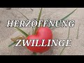 ZWILLINGE 3 26 Erreichen Höherer Ziele Sich In Frieden Ausrichten Übergangsphase