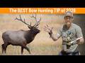 Shot Placement on Live Animals vs. Target Shooting | Eastmans Gear Reviews