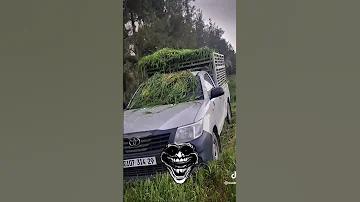 نريسكي مليار في الساعة Shortvideo الشعب الصيني ماله حل 
