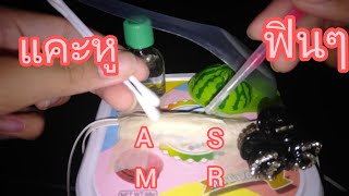 ASMR แคะหูฟินๆ