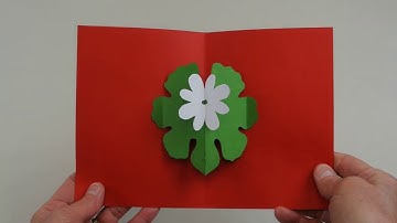 Playing With Pop-Ups Projects