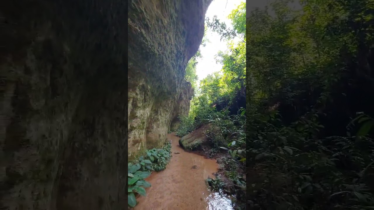 I found a mysterious cave in the Amazon