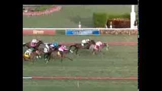 Xpressbet Ride of the Week - January 26, 2014