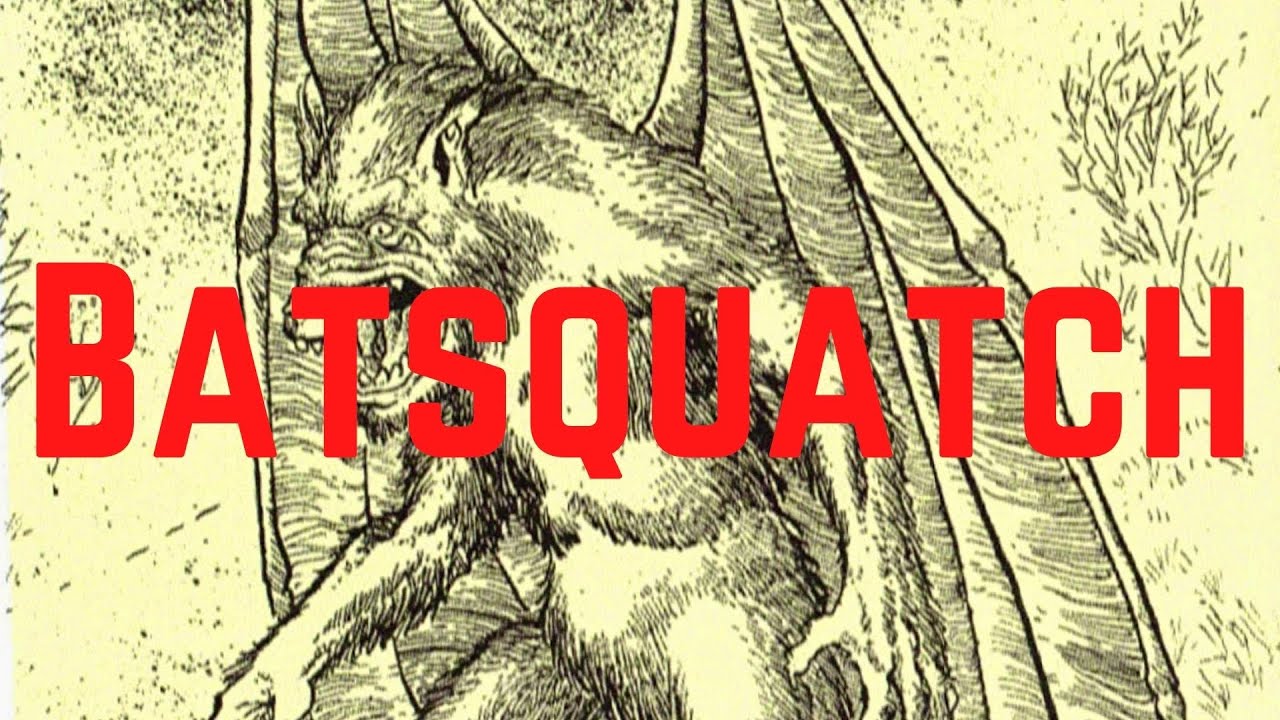 Batsquatch | Cryptid Profile #01