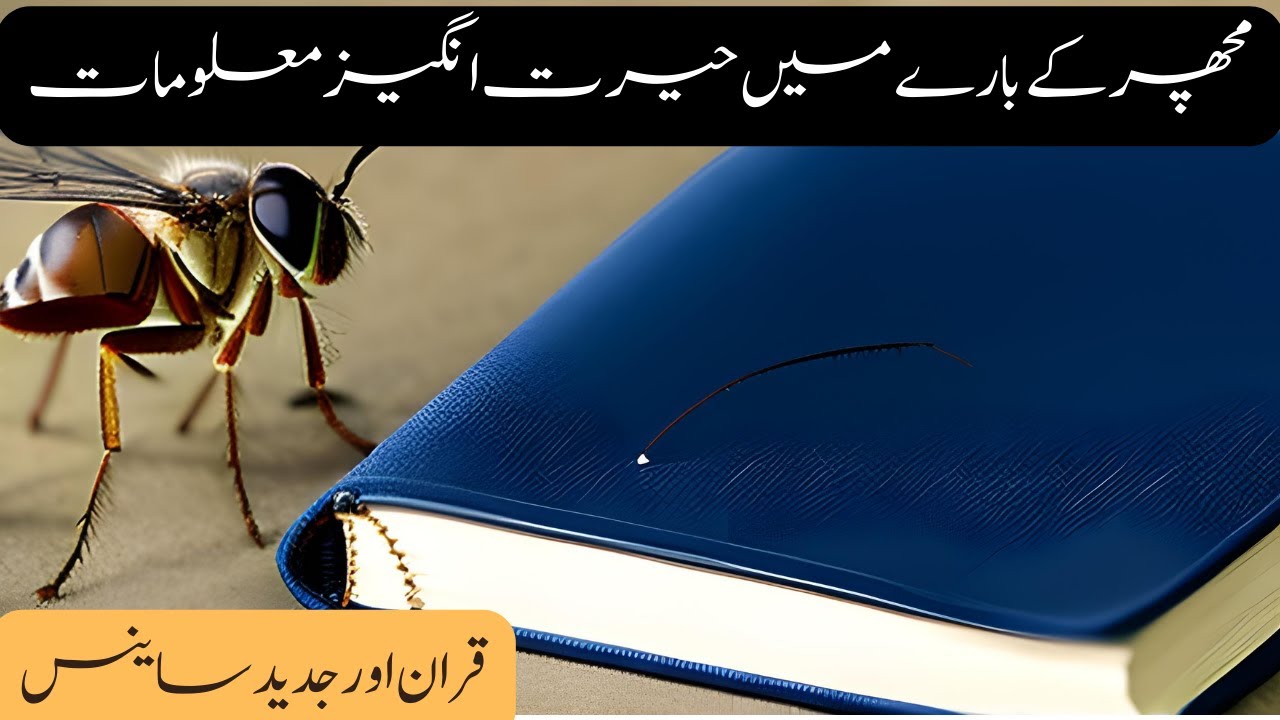 The Shocking Truth: Why Allah Created Mosquitoes - YouTube