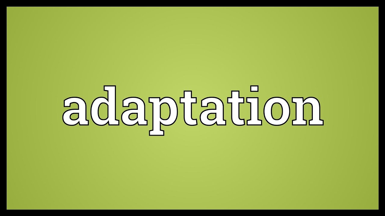 Adaptation Meaning - YouTube
