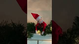 Our Elf Is Back!! #christmas #shorts #elfontheshelf