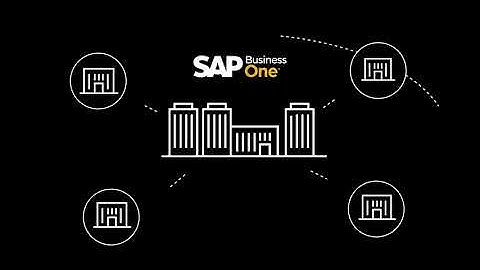 SAP B1 intercompany video