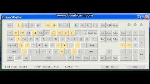 Dell SK-8115 Keyboard (USB): N-Key rollover test