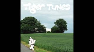 Tiger Tunes - Absolutely Worthless Compared to Important Books