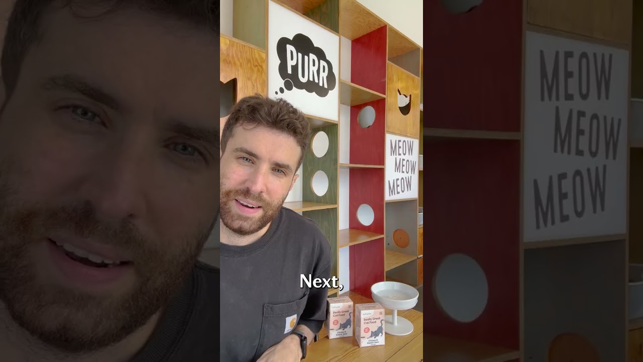 Продлите жизнь своей кошке с помощью этого домашнего рецепта еды?!?