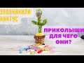 ПРИКОЛЫШИ ЗАПОЛОНИЛЫШИ или КАК ЗАБАНАНИТЬ ТАНЦУЮЩИЙ КАКТУС)