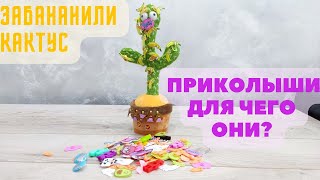 ПРИКОЛЫШИ ЗАПОЛОНИЛЫШИ или КАК ЗАБАНАНИТЬ ТАНЦУЮЩИЙ КАКТУС)