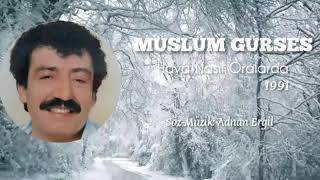 Müslüm Gürses - Hava Nasıl Oralarda Resimi