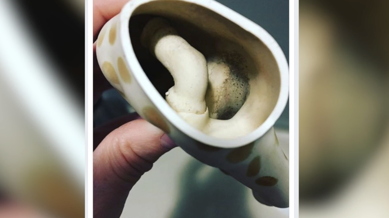 sophie la girafe mold