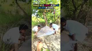 बेजुबान जनवारों के लिए पानी की व्यवस्था #viral #helping #animals #youtube